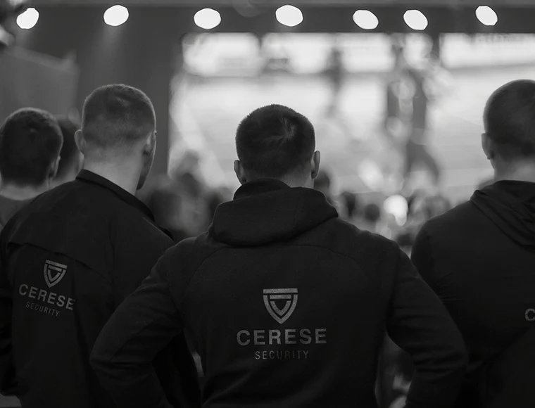 Agent de sécurité
