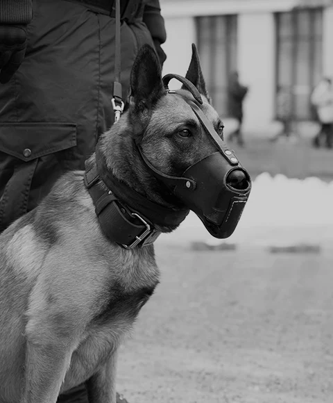 Agent de sécurité avec son chien de garde