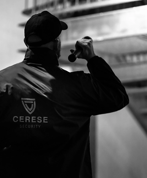 Agent de sécurité avec sa torche